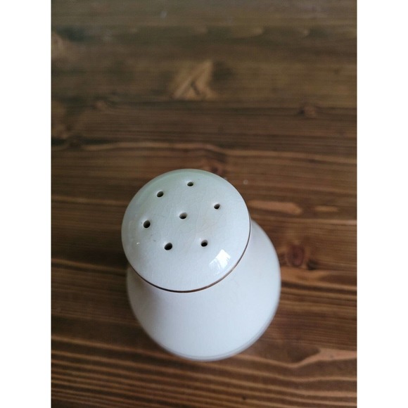 Antique Hand Painted Porcelain MUFFINEER Sugar Shaker ROSES w Gilt Trim - Picture 3 of 4